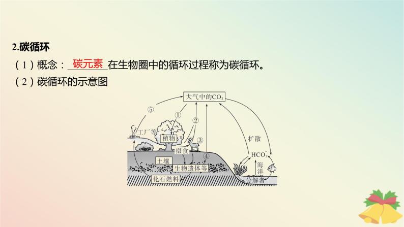 江苏专版2023_2024学年新教材高中生物第三章生态系统第三节生态系统的物质循环课件苏教版选择性必修206