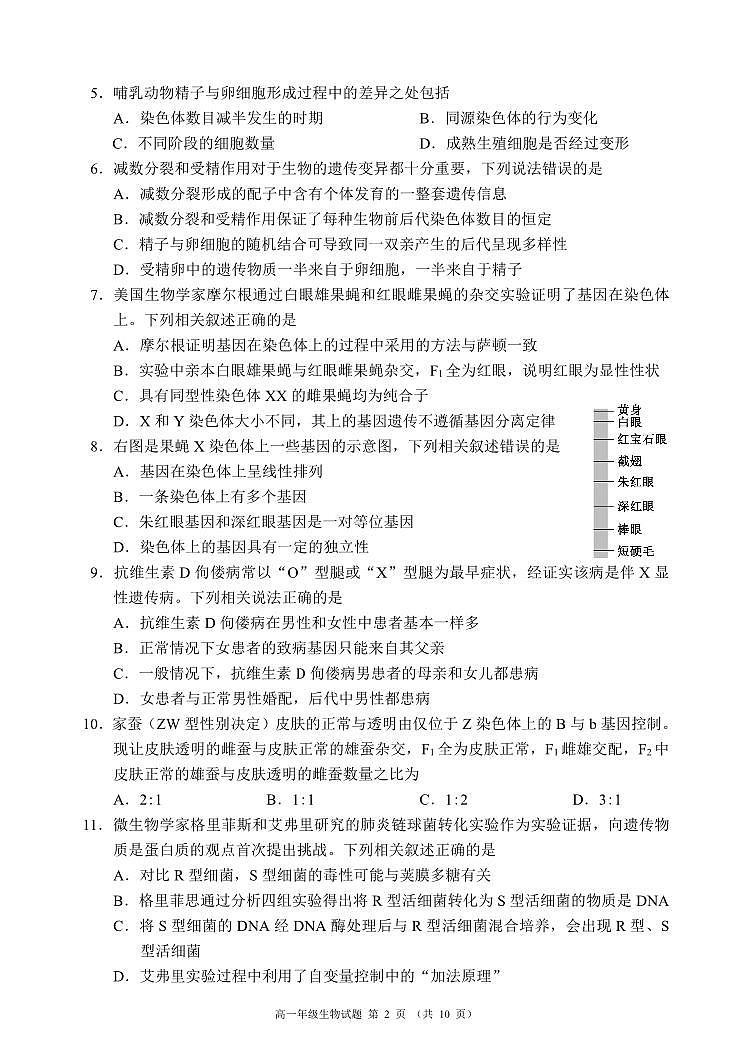 四川省成都东部新区养马高级中学2023-2024学年高二上学期开学考试生物试题第2页