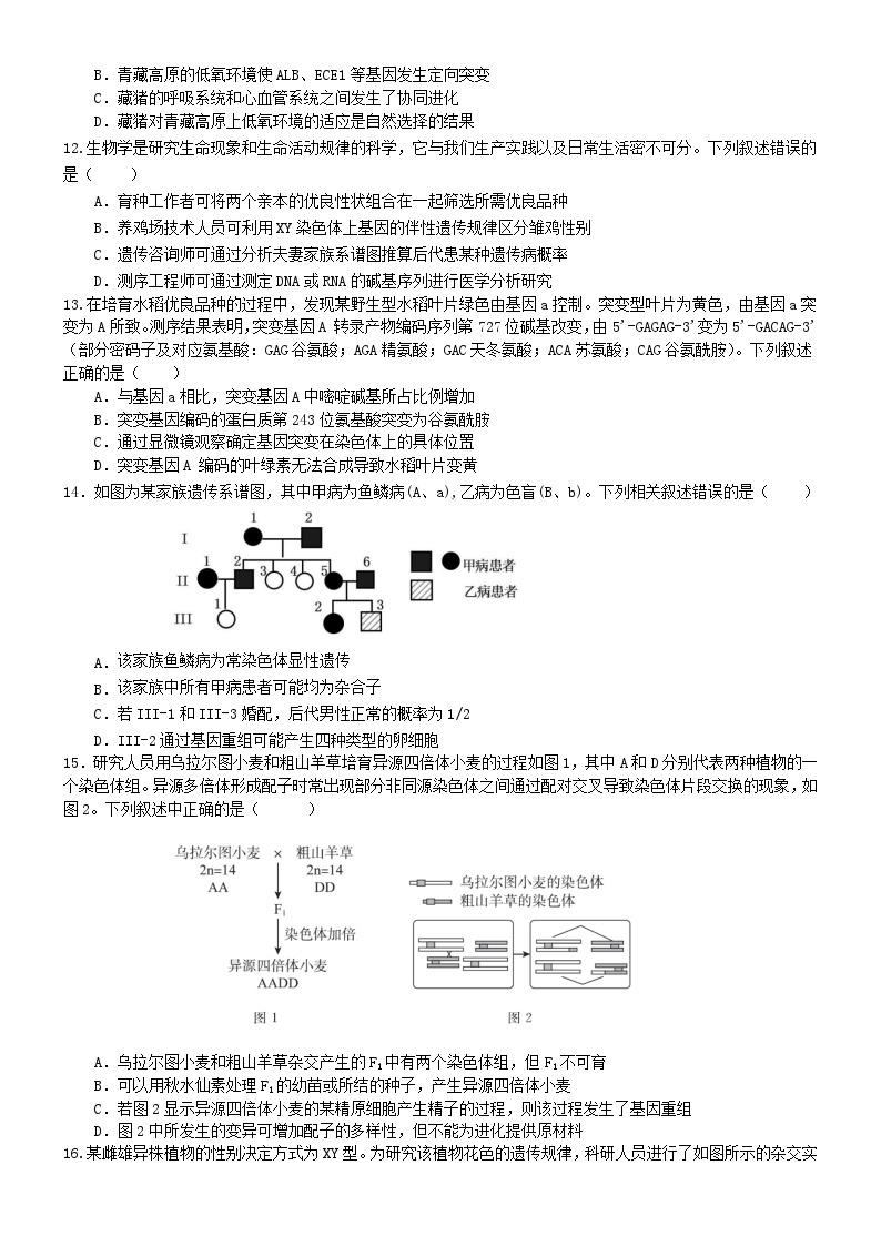 广东省东莞市东华高级中学2023-2024学年高二上学期开学生物试题03