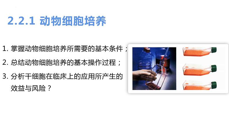 2.2.1动物细胞培养 课件人教版高中生物选修三ppt第4页
