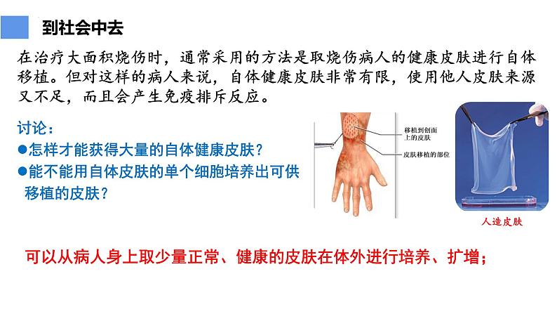 2.2.1动物细胞培养 课件人教版高中生物选修三ppt第5页