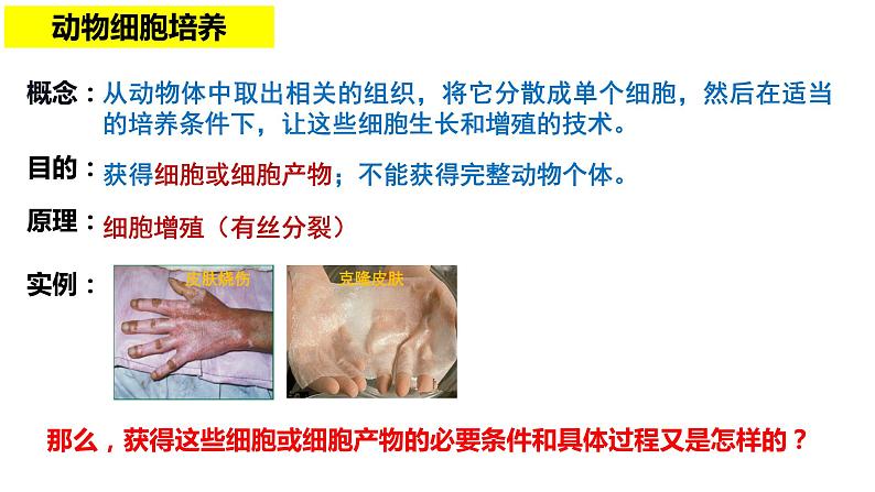 2.2.1动物细胞培养 课件人教版高中生物选修三ppt第6页