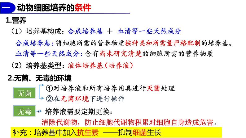 2.2.1动物细胞培养 课件人教版高中生物选修三ppt第8页