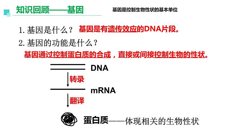 3.1重組DNA技術(shù)的基本工具  課件人教版高中生物選修三ppt第2頁