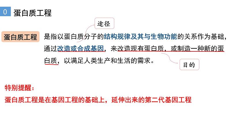 3.4蛋白质工程的原理和应用 课件人教版高中生物选修三ppt第4页