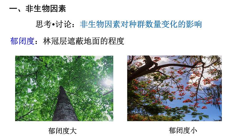 1.3 影响种群数量变化的因素 课件人教版高中生物选修二ppt第5页