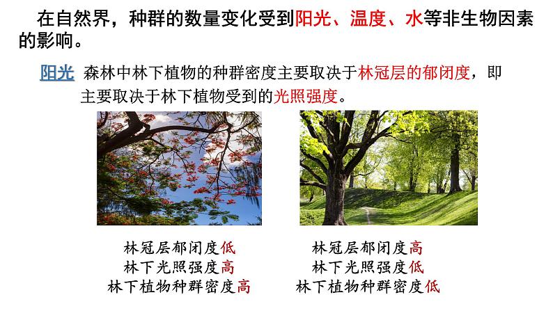 1.3 影响种群数量变化的因素 课件人教版高中生物选修二ppt第8页