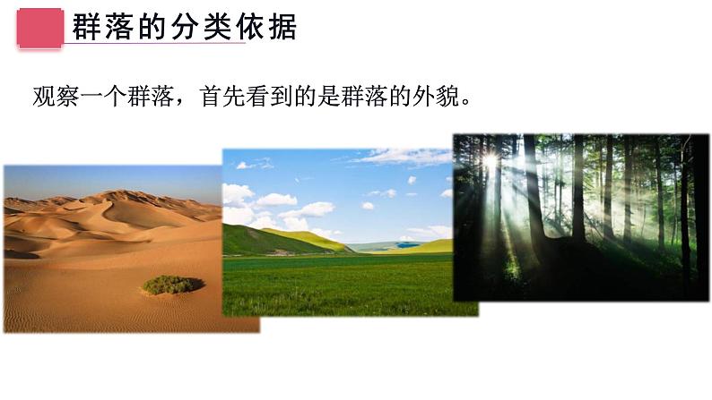 2.2 群落的主要类型 课件人教版高中生物选修二ppt第3页
