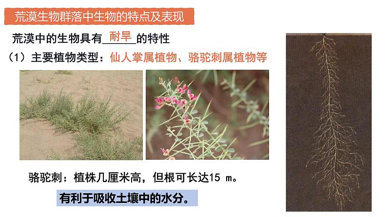 2.2 群落的主要类型 课件人教版高中生物选修二ppt第7页