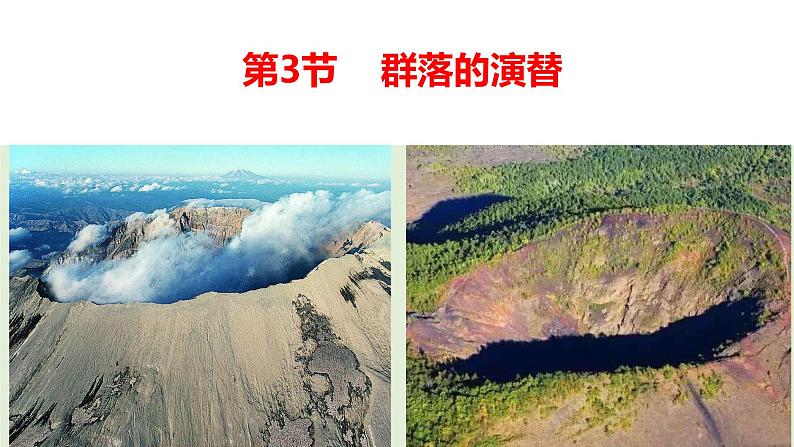 2.3群落的演替 课件人教版高中生物选修二ppt第1页