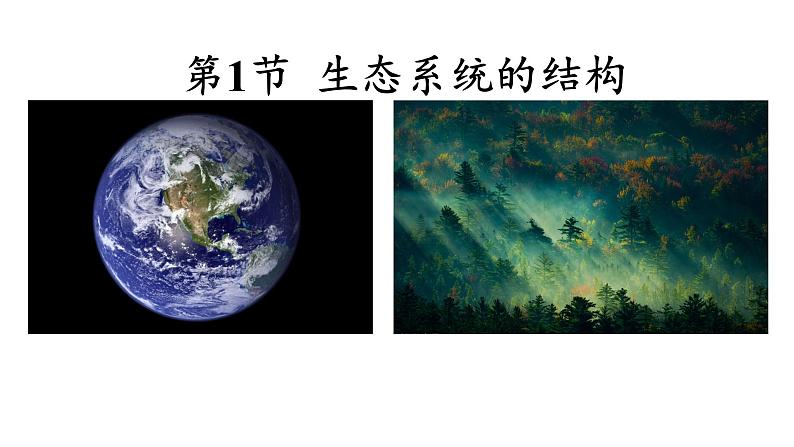 3.1生态系统的结构 课件人教版高中生物选修二ppt第1页