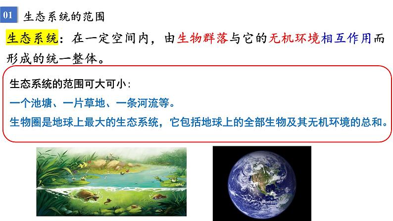3.1生态系统的结构 课件人教版高中生物选修二ppt第4页