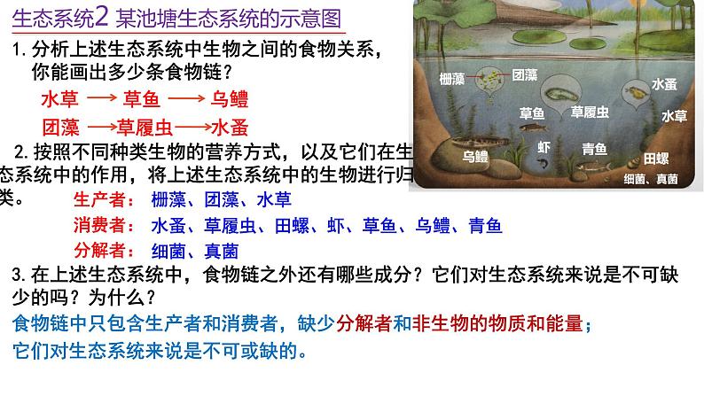 3.1生态系统的结构 课件人教版高中生物选修二ppt第7页