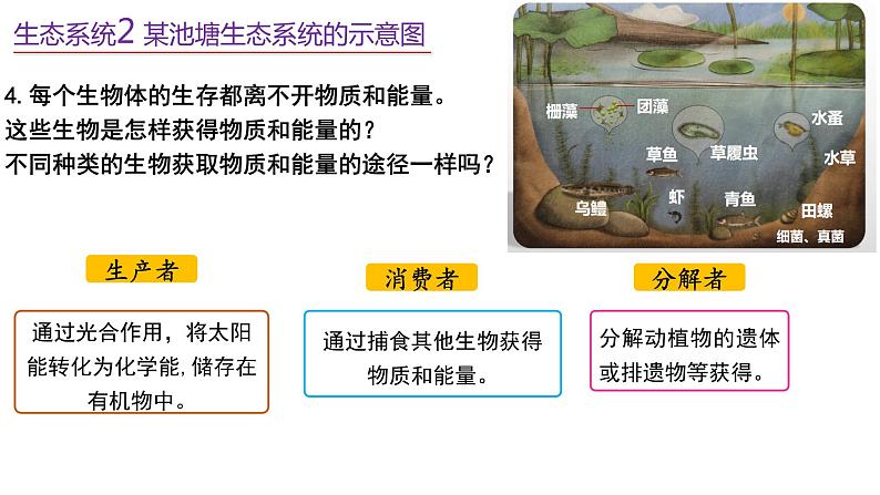 3.1生态系统的结构 课件人教版高中生物选修二ppt第8页