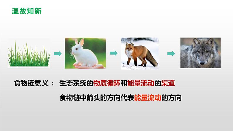 3.2生态系统的能量流动 课件人教版高中生物选修二ppt第4页