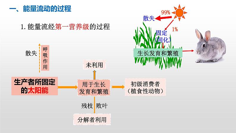 3.2生态系统的能量流动 课件人教版高中生物选修二ppt第8页