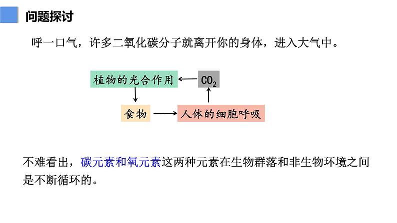 3.3生态系统的物质循环 课件人教版高中生物选修二ppt04