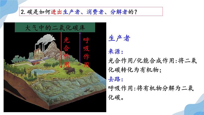 3.3生态系统的物质循环 课件人教版高中生物选修二ppt06