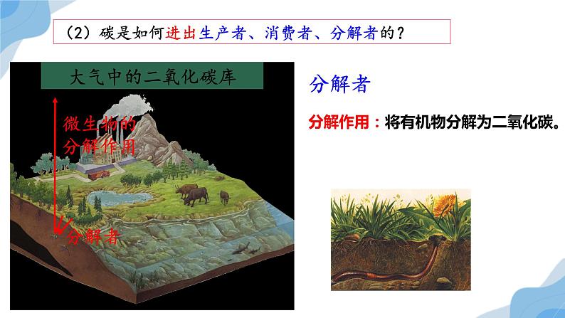 3.3生态系统的物质循环 课件人教版高中生物选修二ppt08