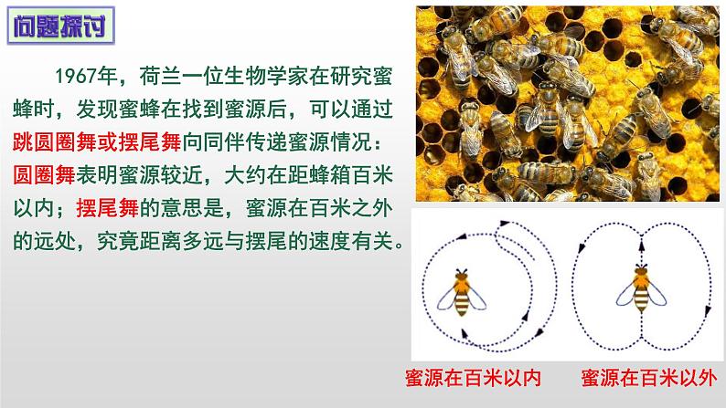 3.4生态系统的信息传递 课件人教版高中生物选修二ppt第2页