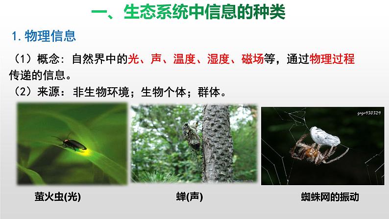 3.4生态系统的信息传递 课件人教版高中生物选修二ppt第4页