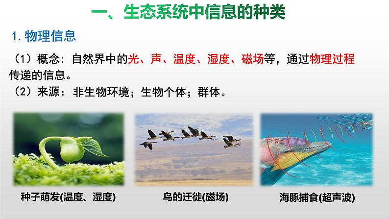 3.4生态系统的信息传递 课件人教版高中生物选修二ppt第5页