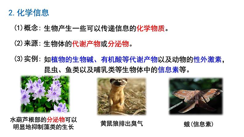 3.4生态系统的信息传递 课件人教版高中生物选修二ppt第6页