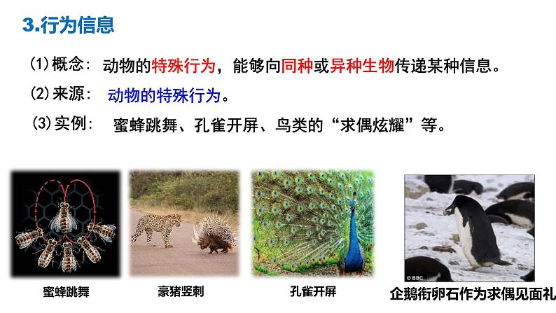 3.4生态系统的信息传递 课件人教版高中生物选修二ppt第8页