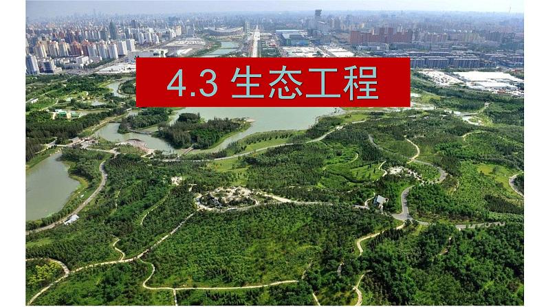 4.3生态工程 课件人教版高中生物选修二ppt01