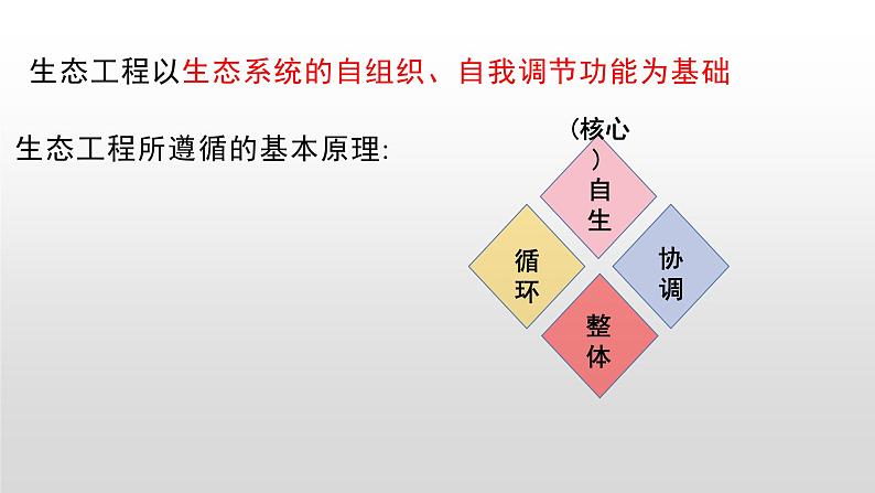 4.3生态工程 课件人教版高中生物选修二ppt05