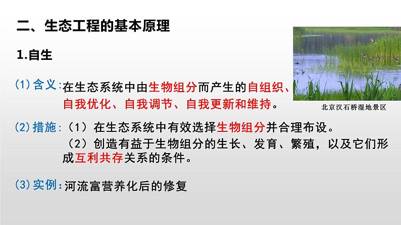 4.3生态工程 课件人教版高中生物选修二ppt06