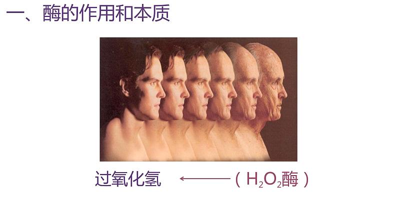 5.1酶的作用和本质(第1课时) 课件高中人教版生物必修一第4页
