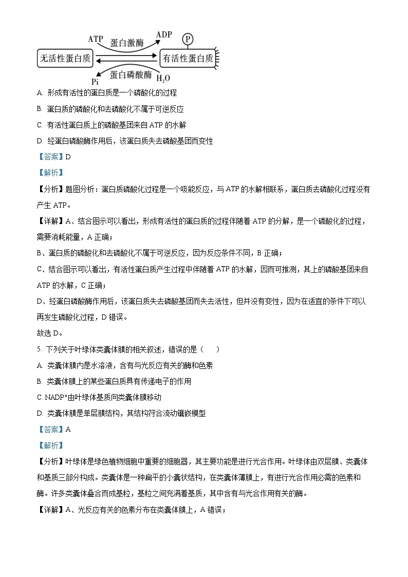 浙江省七彩阳光新高考研究联盟2023-2024学年高二生物上学期开学考试试题（Word版附解析）03