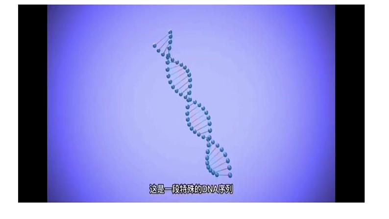 4.1-4.3生物技术的安全性和伦理问题 课件人教版高中生物选修三ppt第7页