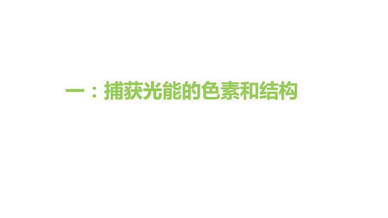 5.4光合作用第1课时 课件高中人教版生物必修一04