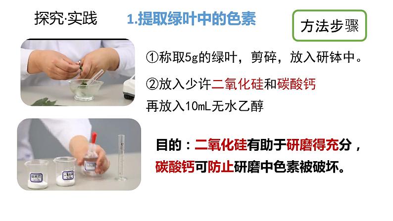 5.4光合作用第1课时 课件高中人教版生物必修一08
