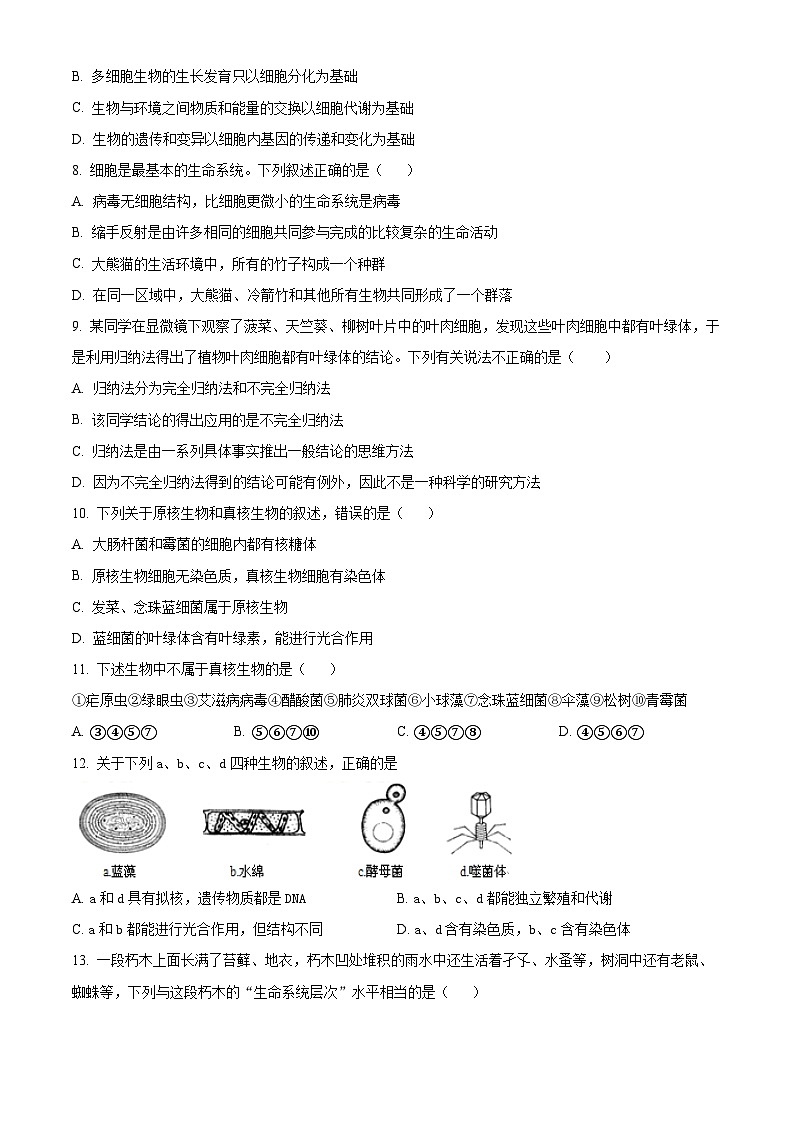 2024大理白族自治州祥云祥华中学高一上学期9月月考生物试题含解析02