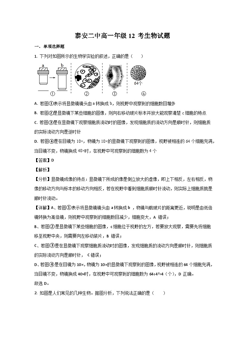 2023泰安二中高一上学期12月月考生物试题含解析01