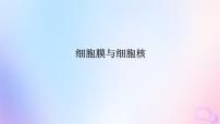 2024版新教材高考生物全程一輪總復(fù)習(xí)第二單元細(xì)胞的基本結(jié)構(gòu)和物質(zhì)運(yùn)輸功能課堂互動(dòng)探究案1細(xì)胞膜與細(xì)胞核課件