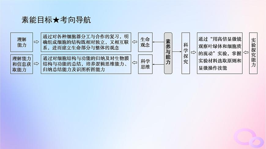 2024版新教材高考生物全程一輪總復(fù)習(xí)第二單元細(xì)胞的基本結(jié)構(gòu)和物質(zhì)運(yùn)輸功能課堂互動(dòng)探究案2細(xì)胞器之間的分工合作課件第4頁