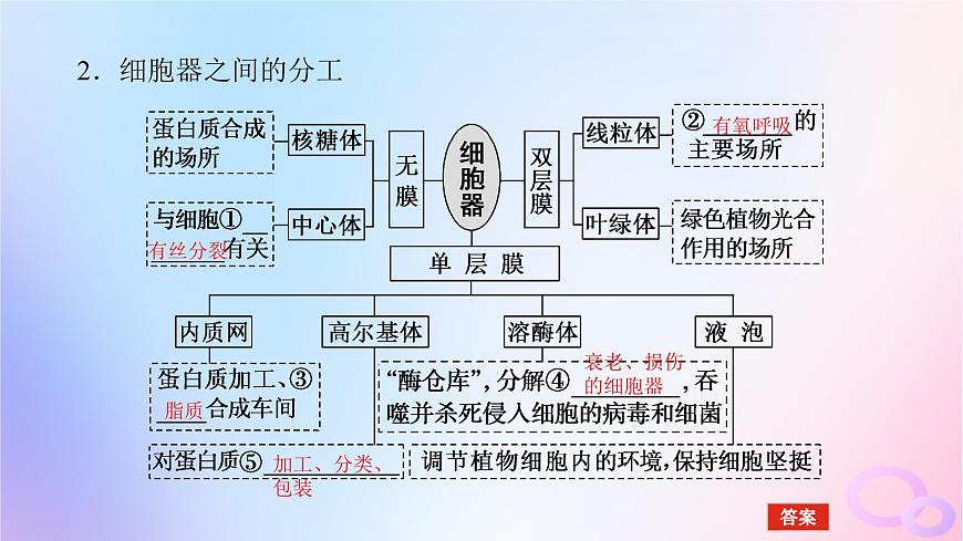 2024版新教材高考生物全程一輪總復(fù)習(xí)第二單元細(xì)胞的基本結(jié)構(gòu)和物質(zhì)運(yùn)輸功能課堂互動(dòng)探究案2細(xì)胞器之間的分工合作課件第6頁