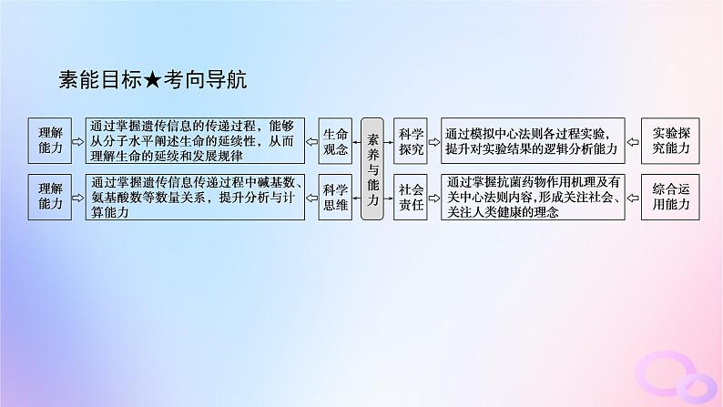 2024版新教材高考生物全程一轮总复习第六单元遗传的分子基础课堂互动探究案3基因指导蛋白质的合成及其与性状的关系课件第4页