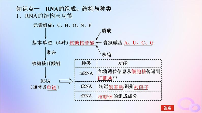2024版新教材高考生物全程一轮总复习第六单元遗传的分子基础课堂互动探究案3基因指导蛋白质的合成及其与性状的关系课件第5页