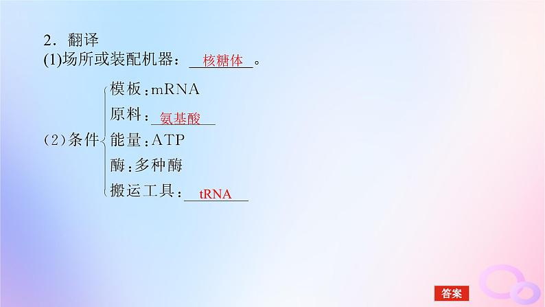 2024版新教材高考生物全程一轮总复习第六单元遗传的分子基础课堂互动探究案3基因指导蛋白质的合成及其与性状的关系课件第8页