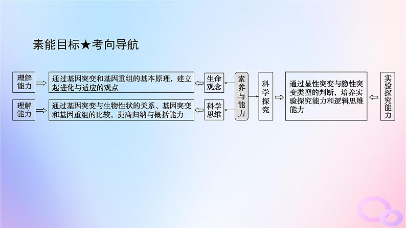 2024版新教材高考生物全程一轮总复习第七单元生物的变异与进化课堂互动探究案1基因突变与基因重组课件第4页