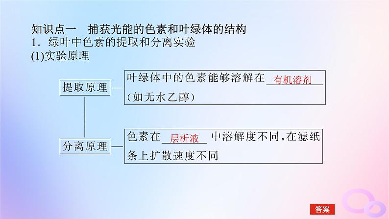 2024版新教材高考生物全程一轮总复习第三单元细胞的能量供应和利用课堂互动探究案3光合作用课件第5页