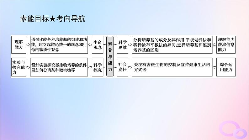 2024版新教材高考生物全程一轮总复习第十二单元生物技术与工程课堂互动探究案2微生物的培养技术及应用课件第4页
