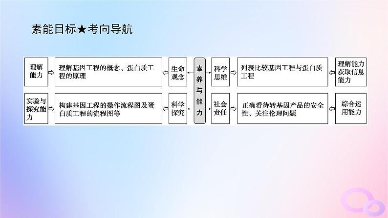 2024版新教材高考生物全程一轮总复习第十二单元生物技术与工程课堂互动探究案6基因工程及生物技术的安全性与伦理问题课件第4页