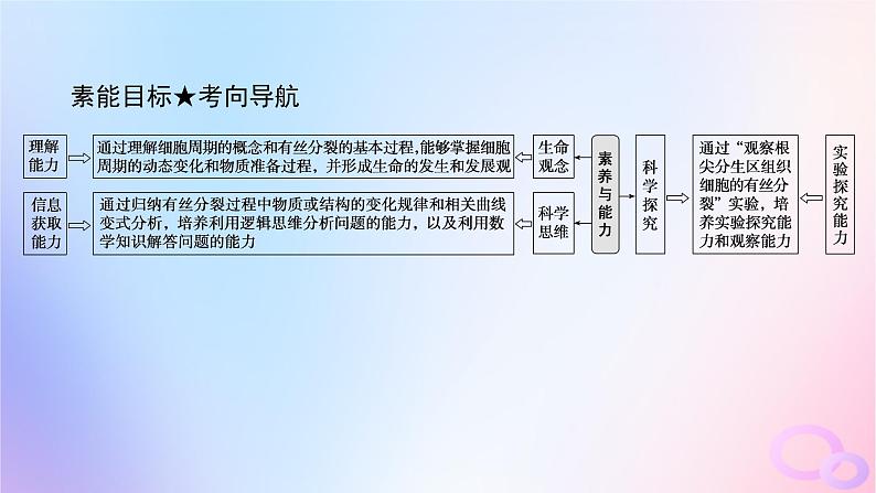 2024版新教材高考生物全程一轮总复习第四单元细胞的生命历程课堂互动探究案1细胞周期和细胞的有丝分裂课件第4页