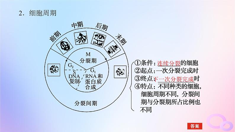 2024版新教材高考生物全程一轮总复习第四单元细胞的生命历程课堂互动探究案1细胞周期和细胞的有丝分裂课件第6页